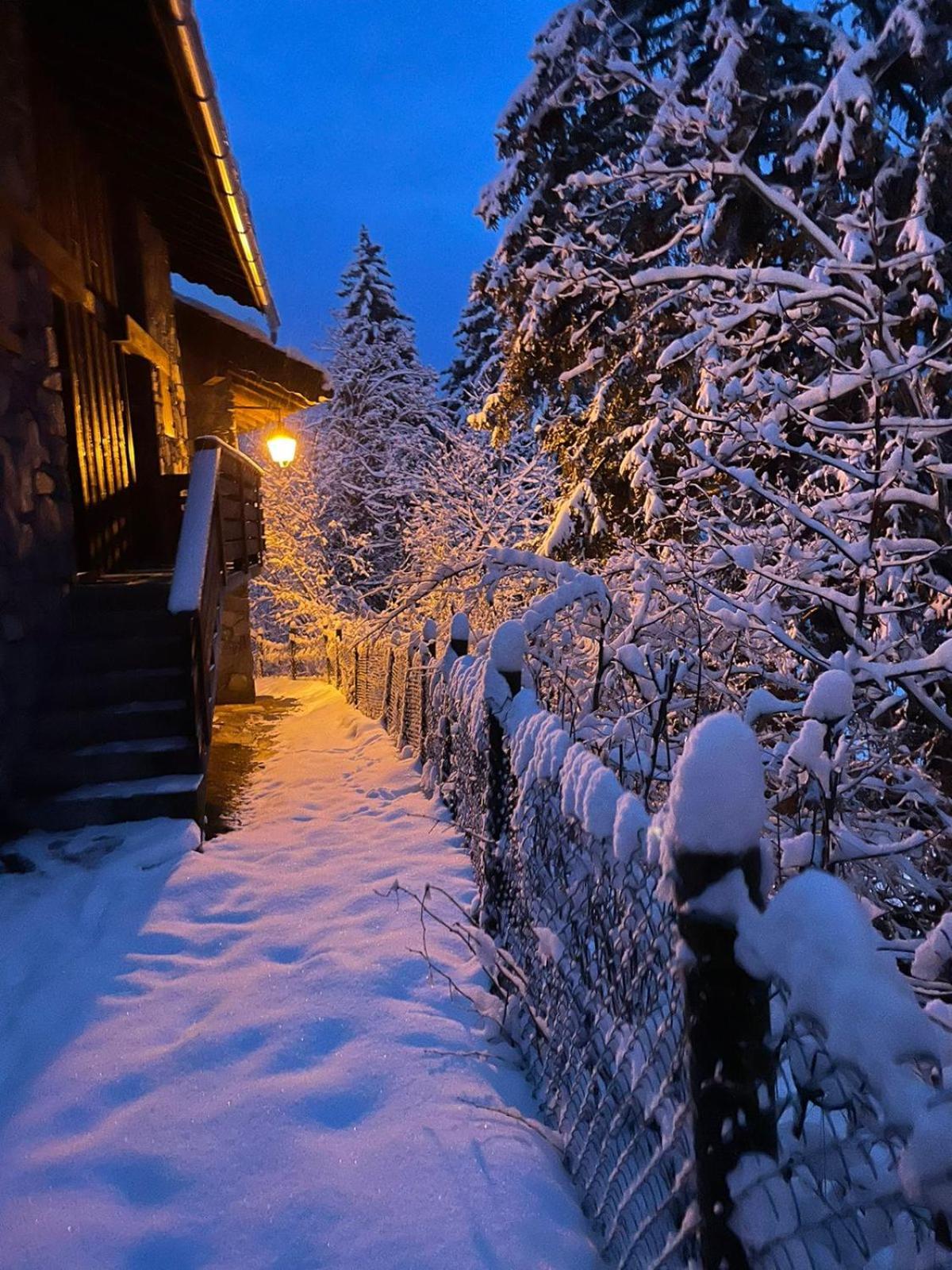 Chalet Les Avernes - Champagny En Vanoise, Domaine La Plagne Paradiski ภายนอก รูปภาพ