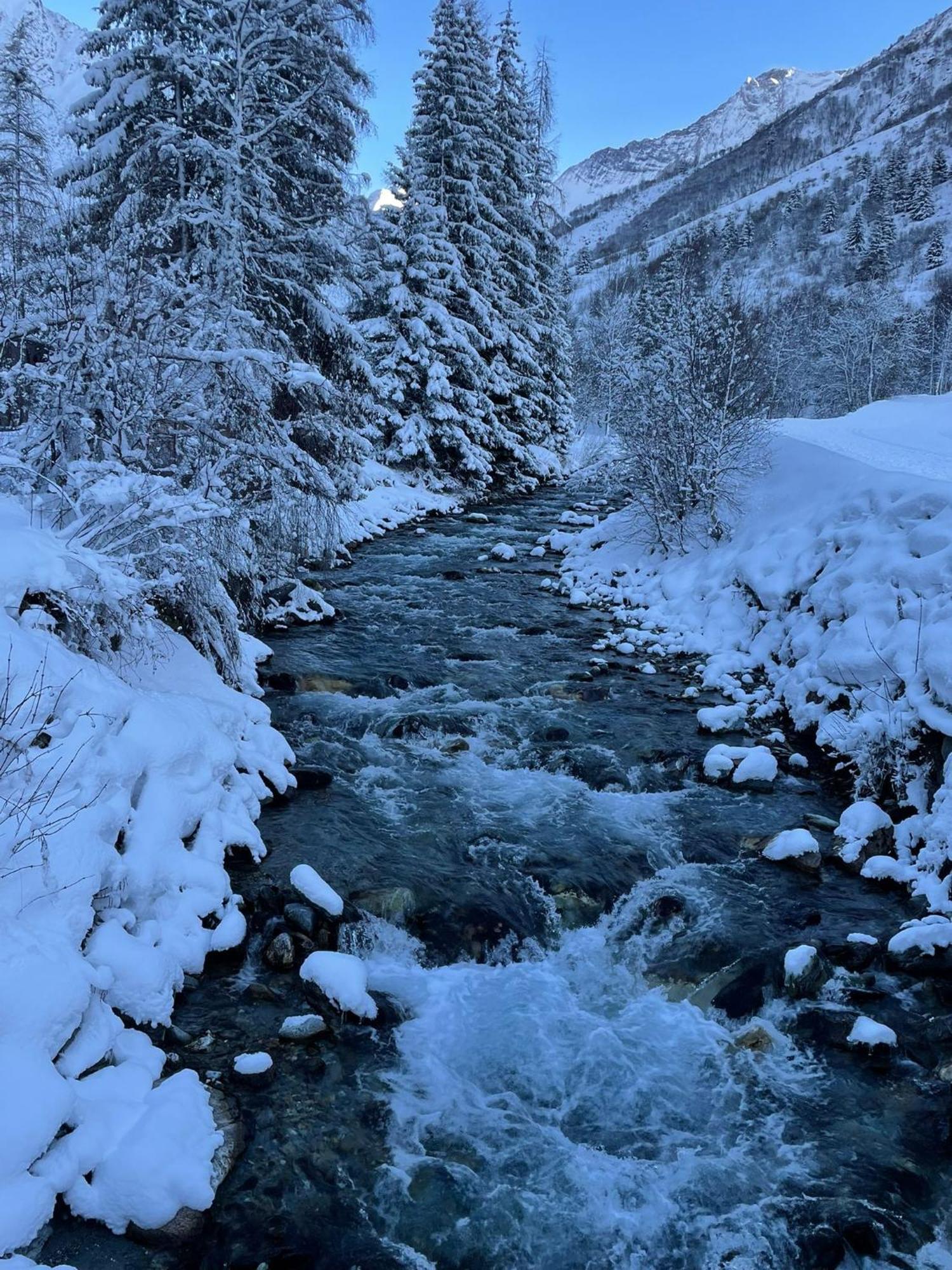 Chalet Les Avernes - Champagny En Vanoise, Domaine La Plagne Paradiski ภายนอก รูปภาพ